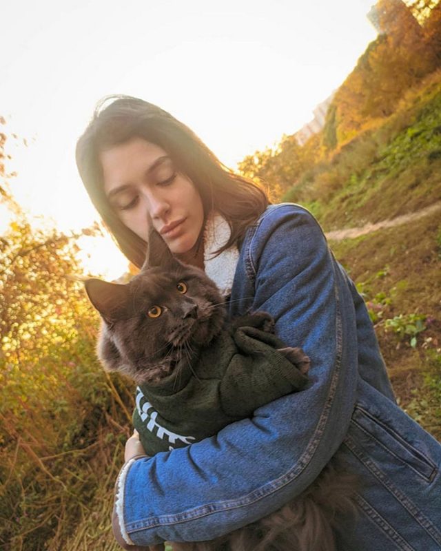 Voici Vincent, un chat Maine coon qui ressemble à une panthère noire et se comporte comme un chien