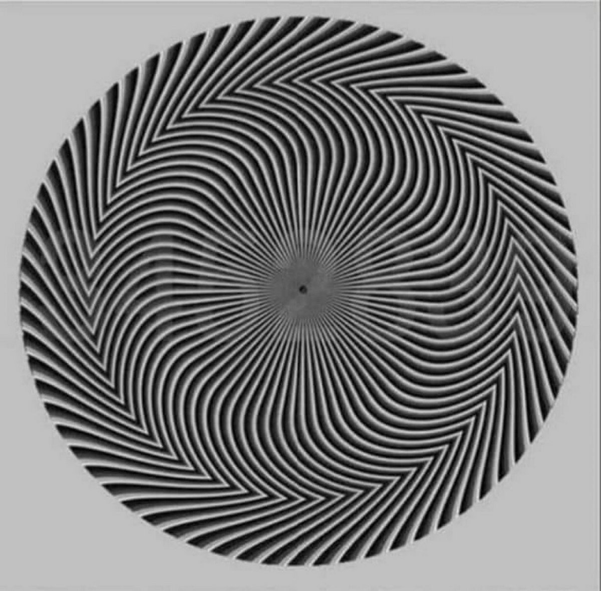 Cette illusion d’optique montre un nombre caché que tout le monde voit différemment