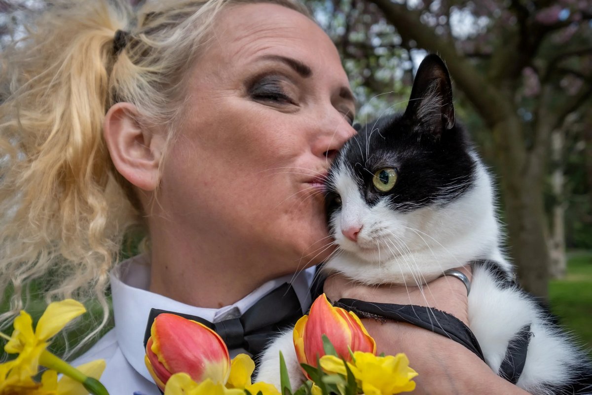 Cette femme a épousé sa chatte pour empêcher son propriétaire de s’en débarrasser