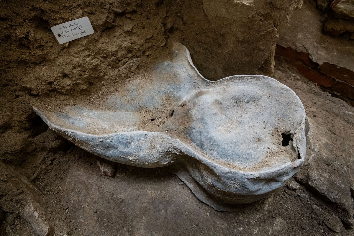 Ce sarcophage mystérieux découvert sous les ruines de Notre-Dame va être ouvert