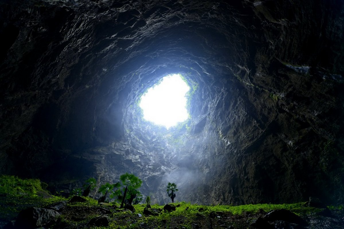 Une énorme forêt ancienne découverte à 192 mètres de profondeur dans un gouffre en Chine