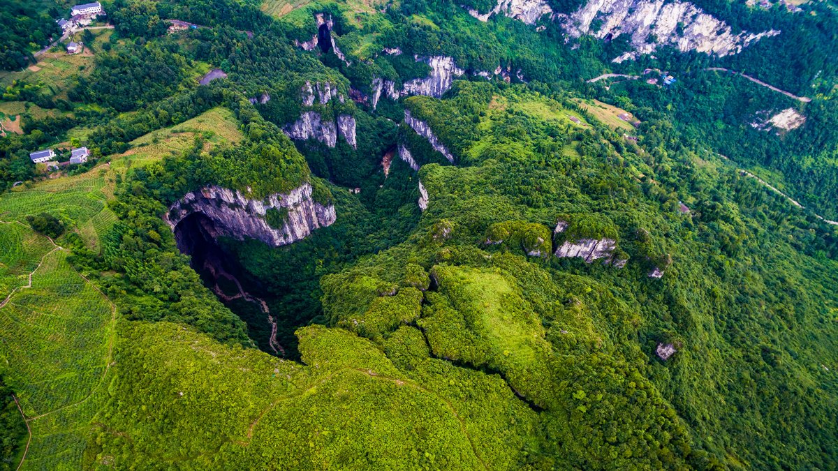 Une énorme forêt ancienne découverte à 192 mètres de profondeur dans un gouffre en Chine