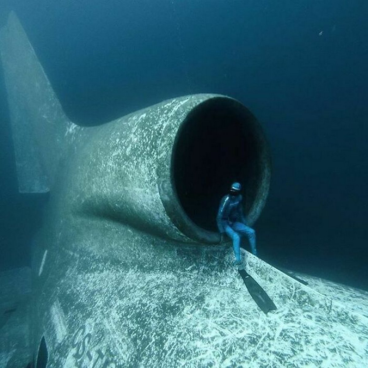 Ces photos terrifiantes prouvent que la peur des eaux profondes est bien réelle
