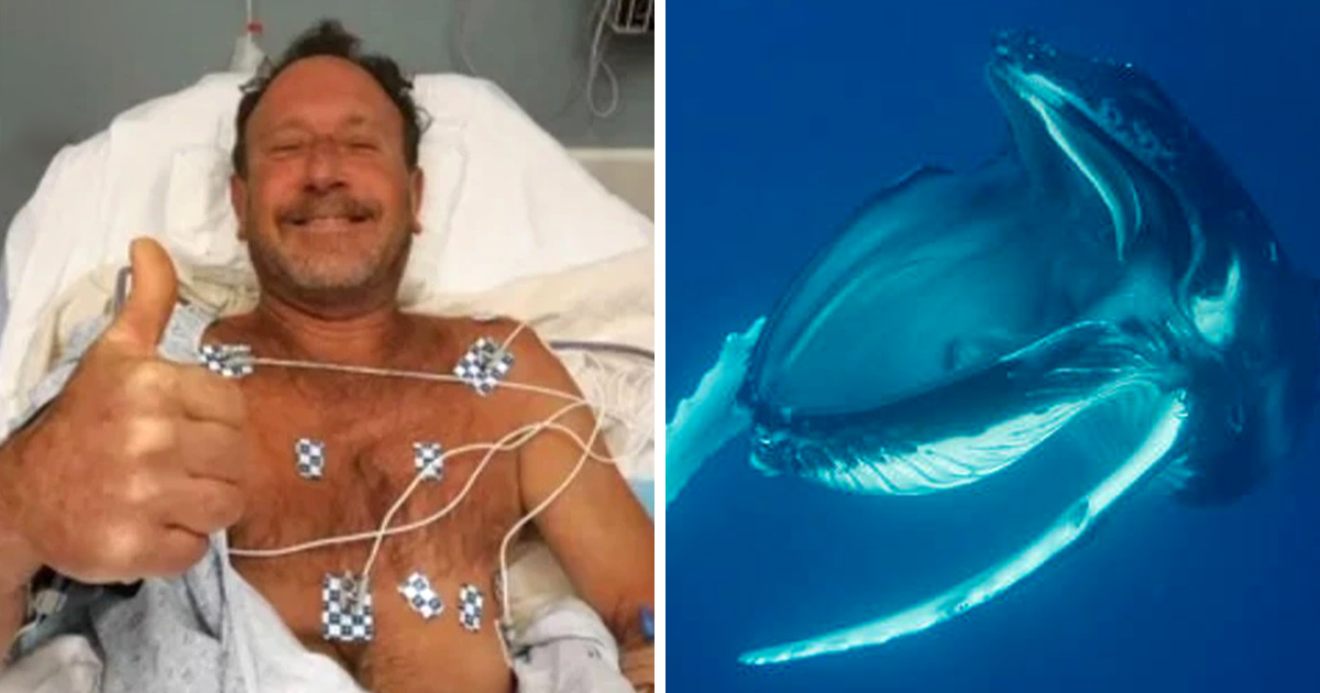 Un homme avalé par une baleine dit qu’il lui est arrivé quelque chose d’encore plus effrayant
