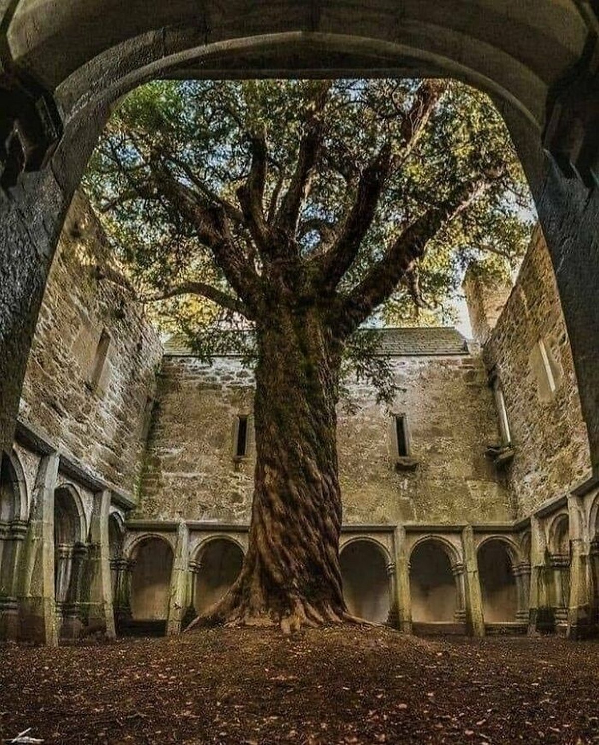 Ces photos glauques de lieux abandonnés ont été partagées par cette page en ligne ! Par Janvier Doyon Lieux-abandonnes-magnifiques-003