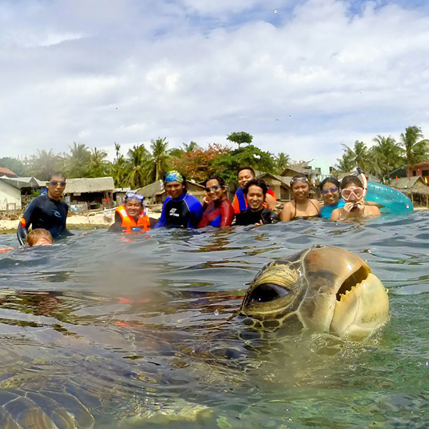 animal-photobomb-photo-gachee-01