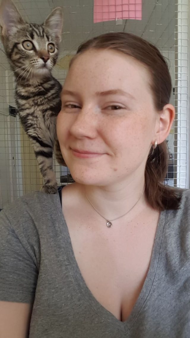 15 raisons pour lesquelles je déteste mon travail ipnoze