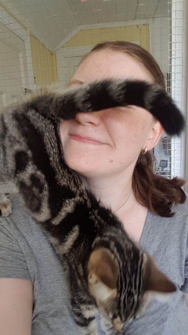 15 raisons pour lesquelles je déteste mon travail ipnoze