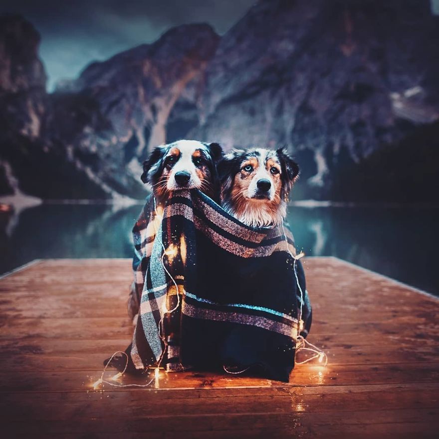 https://www.ipnoze.com/wp-content/uploads/2018/12/chiens-voyages-aventures-kristyna-kvapilova-006.jpg