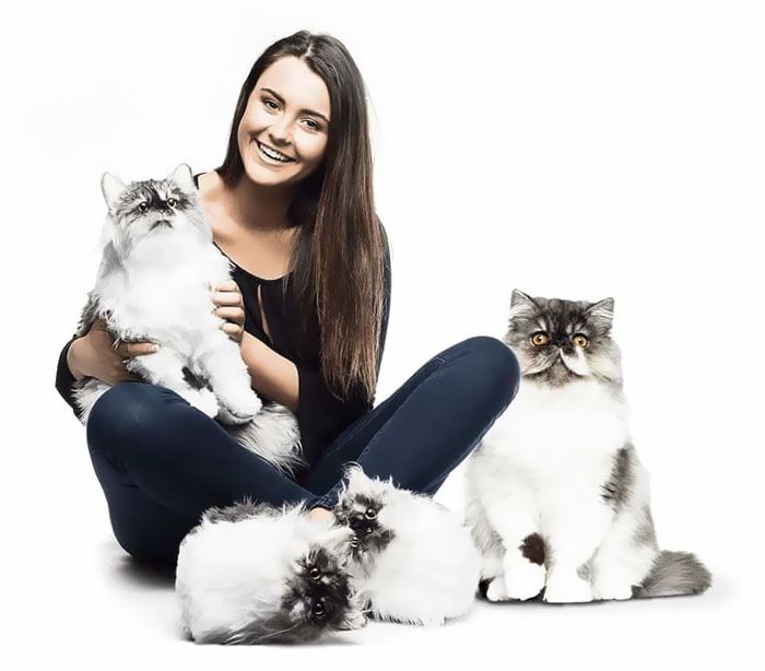 Chaussons personnalisés  Créez dès aujourd'hui des pantoufles  personnalisées uniques pour chiens, chats et animaux de compagnie - Cuddle  Clones
