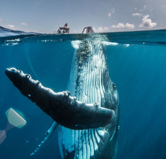 https://www.ipnoze.com/wp-content/uploads/2019/05/finalistes-concours-photos-voyage-national-geographic-2019-012.jpg