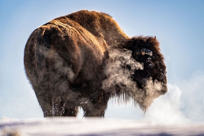 https://www.ipnoze.com/wp-content/uploads/2019/05/finalistes-concours-photos-voyage-national-geographic-2019-024.jpg