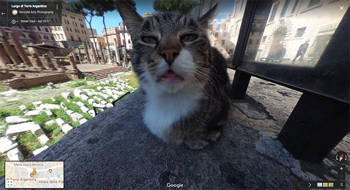 https://www.ipnoze.com/wp-content/uploads/2019/07/animaux-sur-google-street-view-006.jpg