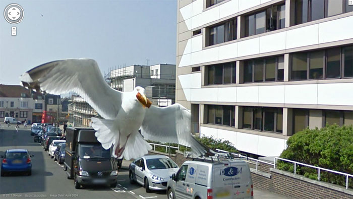 https://www.ipnoze.com/wp-content/uploads/2019/07/animaux-sur-google-street-view-016.jpg