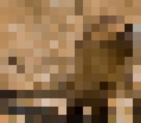22 images qui sont composées d’autant de pixels qu’il y a d’animaux ...