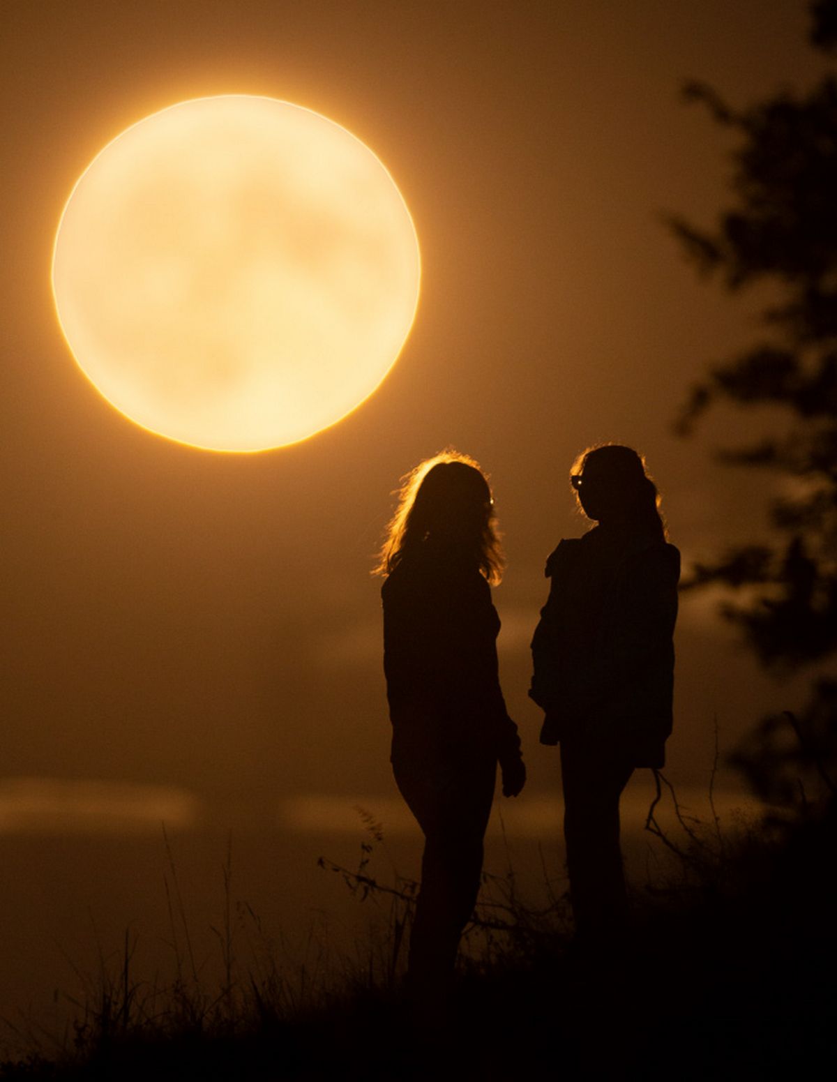 La première super lune de l’année illuminera le ciel ce soir, et les astronomes et observateurs d’étoiles du monde entier se préparent à cet événement.