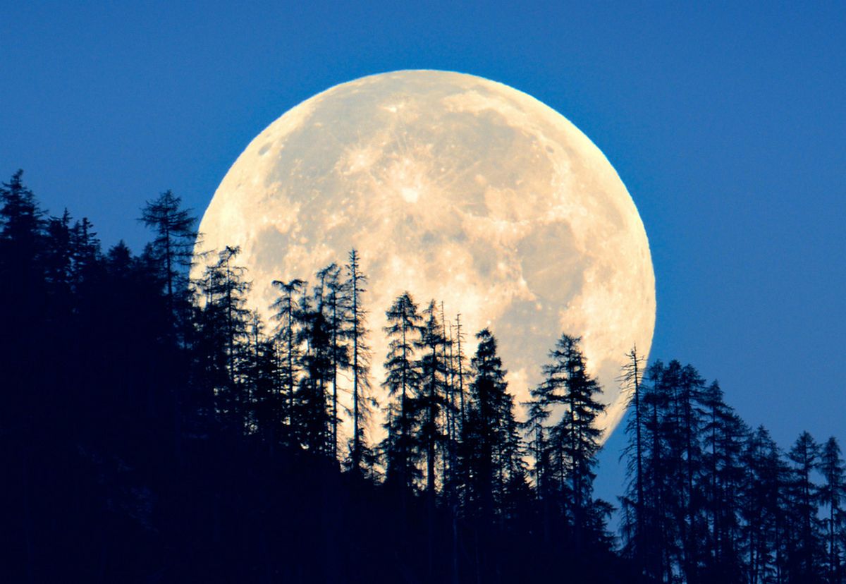 Cette super lune a été surnommée « lune de cerf » par les autochtones car elle apparaît au moment où les bois des cerfs mâles commencent à repousser.