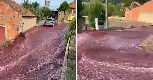 Dans une petite ville côtière du Portugal, une rivière de vin rouge a inondé les rues lorsque deux cuves de la distillerie Levira ont éclaté.