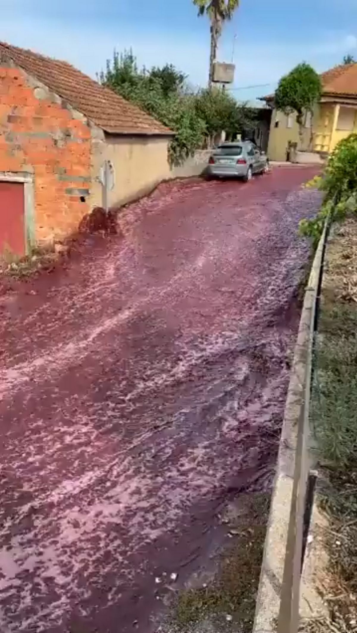 La ville de São Lorenco de Bairro, qui compte 2 000 habitants, a été témoin de ce déversement massif de vin, équivalent à une piscine olympique.