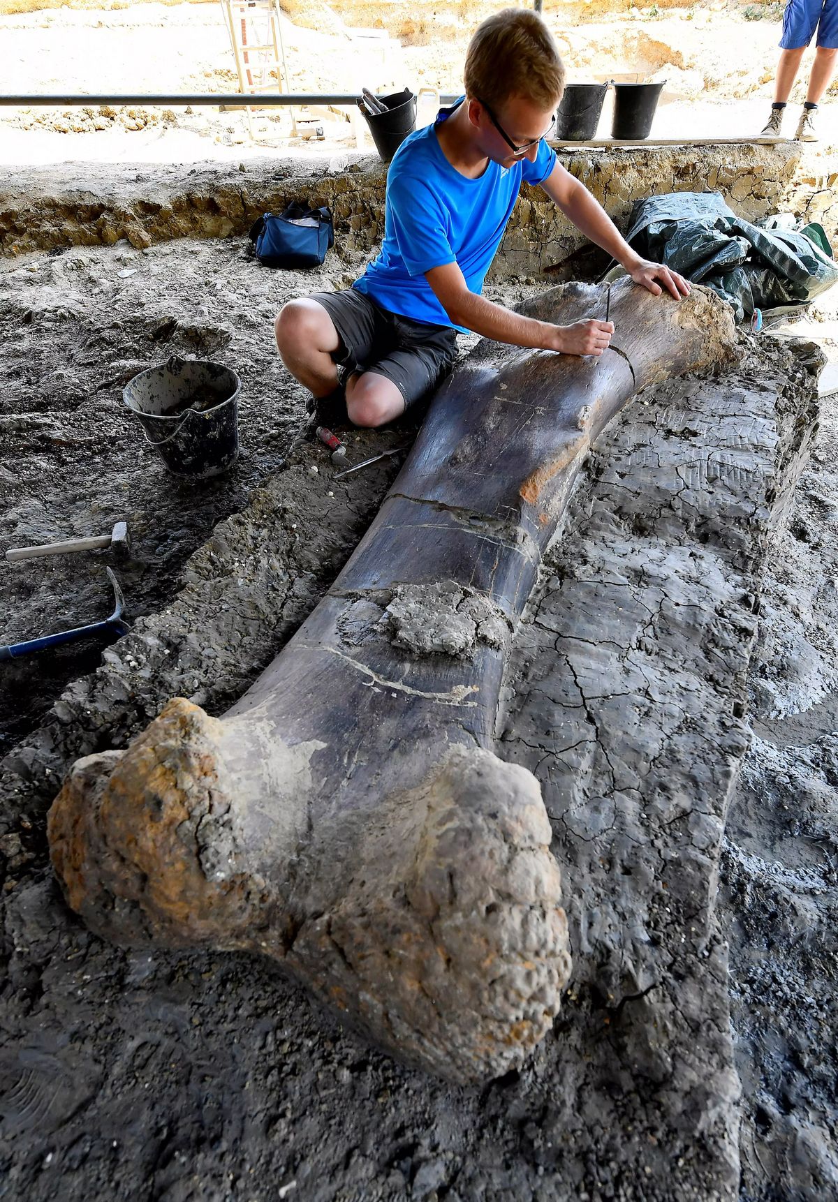 Un Français étudiant en paléontologie inspecte un fossile découvert en 2019.