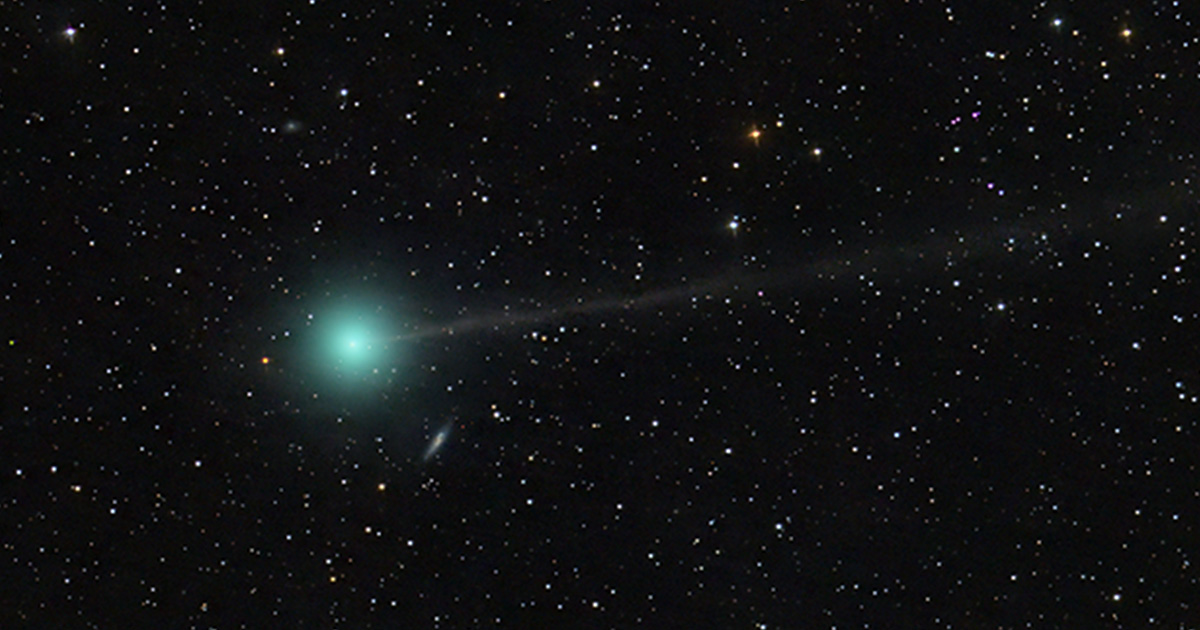 Une comète verte récemment découverte, appelée Nishimura, d'une taille d'environ 800 mètres, s'approchera de la Terre dans les prochains jours.
