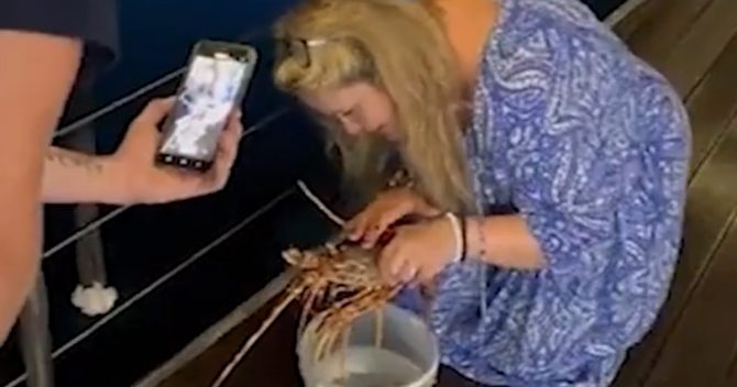 Une femme commande un homard de 200 € dans un restaurant et le relâche en mer